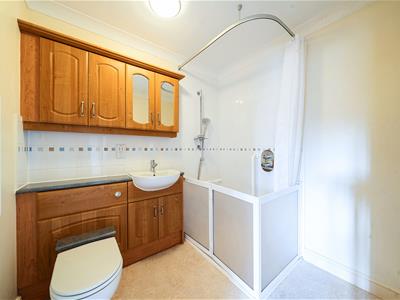 Picture 11